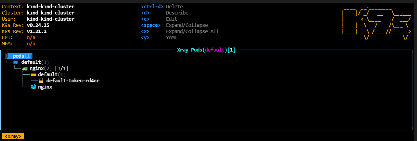 k9s xray pod